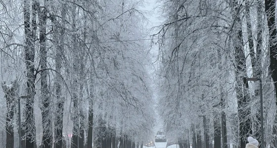 PetraHambelton my fav vibe Pic 4