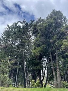 JanneKim 🪄☺️🎀 Εικόνα 7