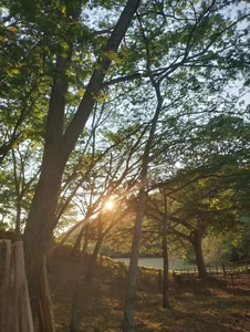 ChloeSanchezxReserva "el Tambor" Bild 6