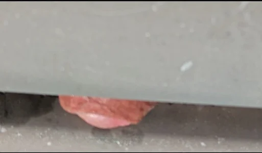 jhonschen's Spalliera della panca Sex Photo 2