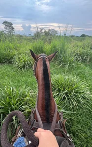 🫰🫰 de Eimy-04 Foto