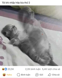 _Purefection lewd humor 🥸 사진 3