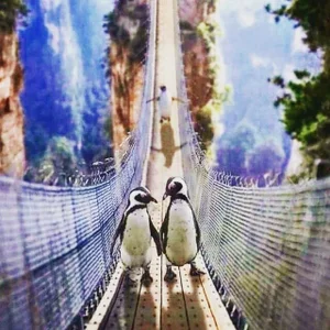 ✨✨✨ od FREYA_-  6 snímek