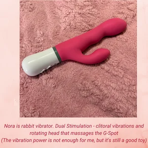 LewdFoxy_VT 🎤 My Toys Pic 7