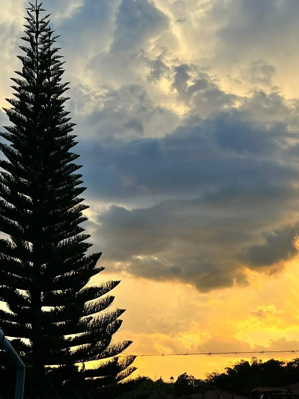 Derek_Sinn избранные изображения 4261