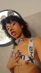 venus-03 hot kitty зображення