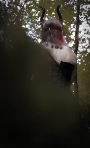 Dora_MarcelliのSuccubus Led You Into The Forest Of Horny And Passion🎃の 5枚の写真