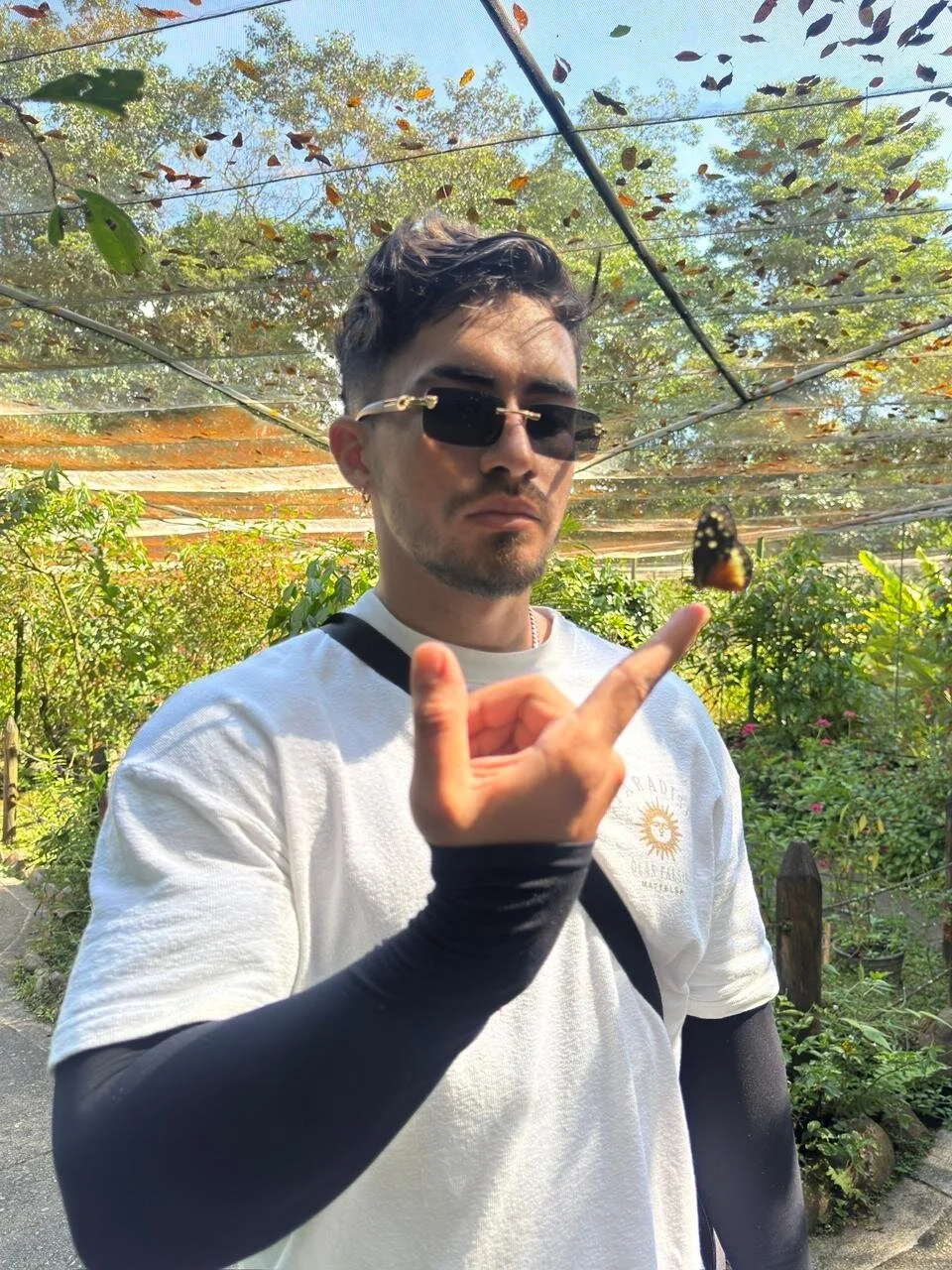 Brad_Summer Trending Plaatje 6090