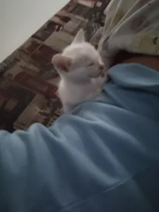 Lovelyamyy Yukime photodump Pic 2