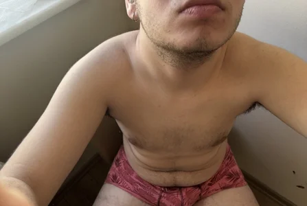 Ateslipanter31 Public зображення 4