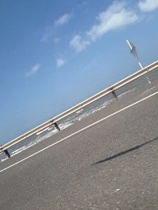 Sophia_wilsonn_のThis is also Colombiaの 5枚の写真