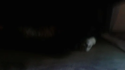 ExquisiteMature The monster under my bed Poză 3