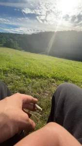 Public de wecrulb  3 Imagens