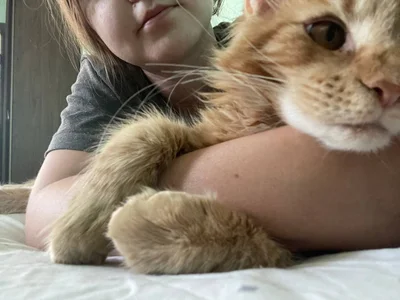 My sexy cat od Lilian_Stars  3 snímek