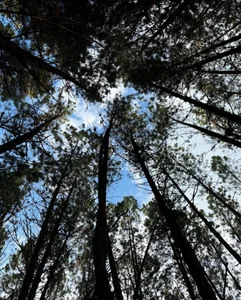 soidai_miiu Landscapes 🌞❤️ Εικόνα