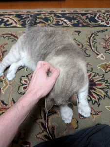 Public de lothrop_  8 Imagens