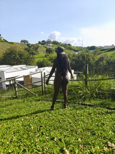 lilit_kyteler Day off Billede 3