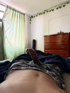 Ed15399 Public Pic 9