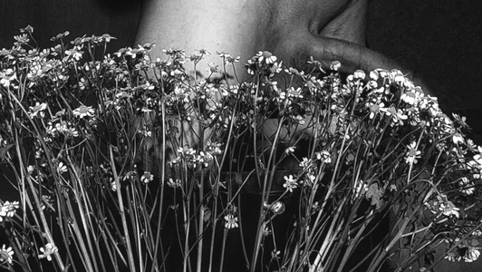 muffledscreeching_v2 Public Foto 2