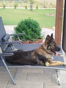 kulisek356 My Foto 5