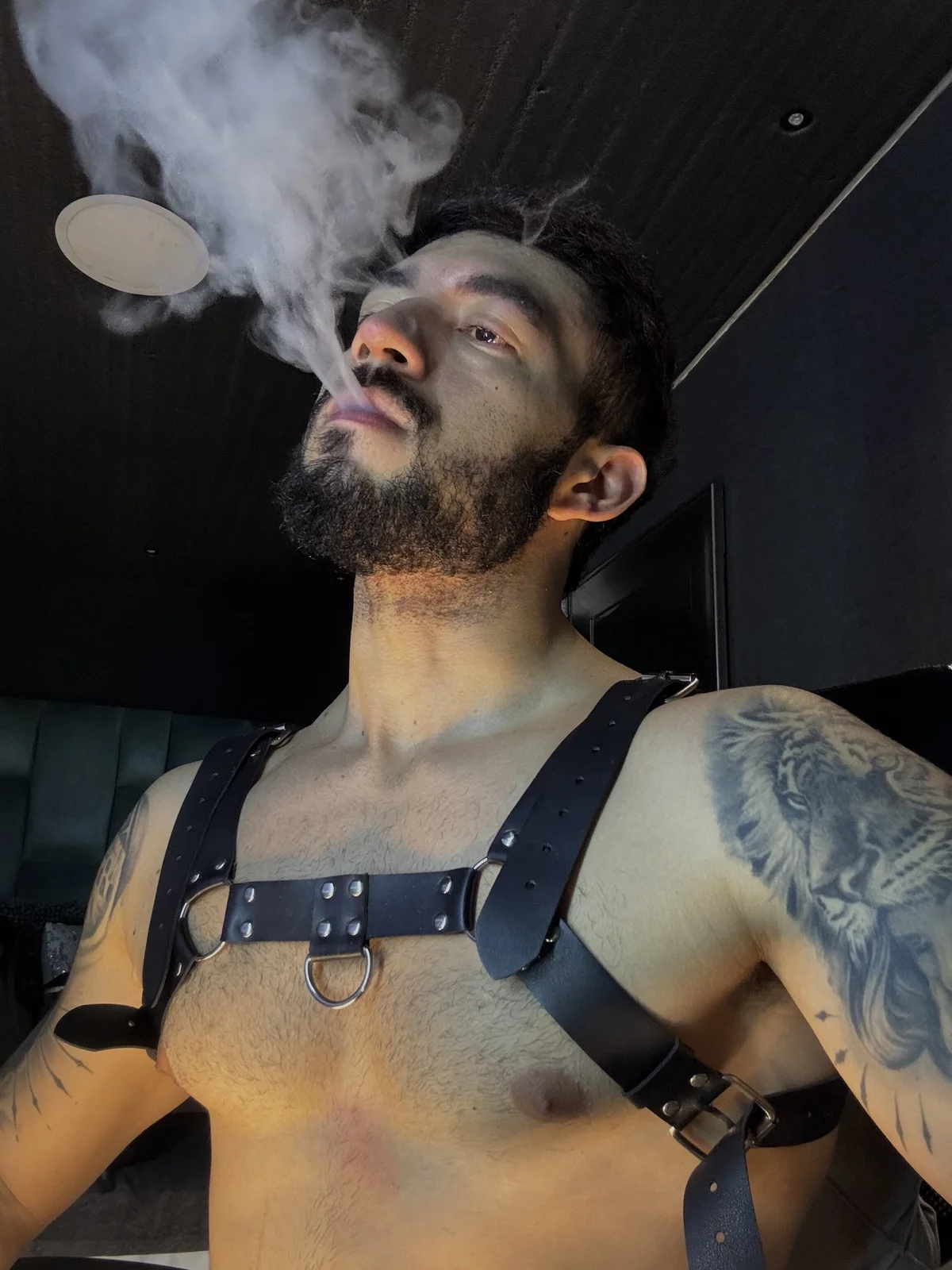 Трендове зображення  5222 MarkWalker__