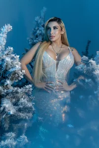 SophiePalmer The winter of Christmas has arrived Immagine  2