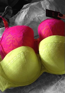 NikkiHolland New bras Bilde