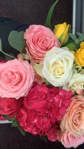 18yoteenvirginPublic Bild