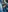 DianaSartori's photo
