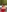Anthonela_love_'s photo