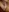 Rajxxxdx4u's photo