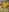 persibal_redhead's photo
