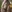 CURVYSAKURA's photo