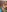 pool stream previews