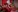Delicius_love's photo