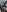 milaivanova's photo