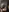 Michele_Greenn's photo