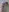 Barbie-Pink's photo