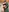 Septipolar's photo