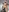 ✨🎄Nude New Year Celebration: Showing Off My Bare Pussy in Holiday Outfit