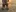 LonelyFlower's photo