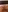 BWW-CINDY11's photo