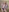 What did you want to do when you saw this?