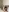 LiaVeygel's photo