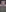 Lusty_Lady_'s photo