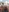 Ian_Schneider's photo