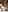 Bonnypetite-'s photo
