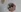 _zephyr_'s photo