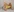 Naughtyy_Jemm's photo
