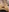 adam-tessa-morel's photo